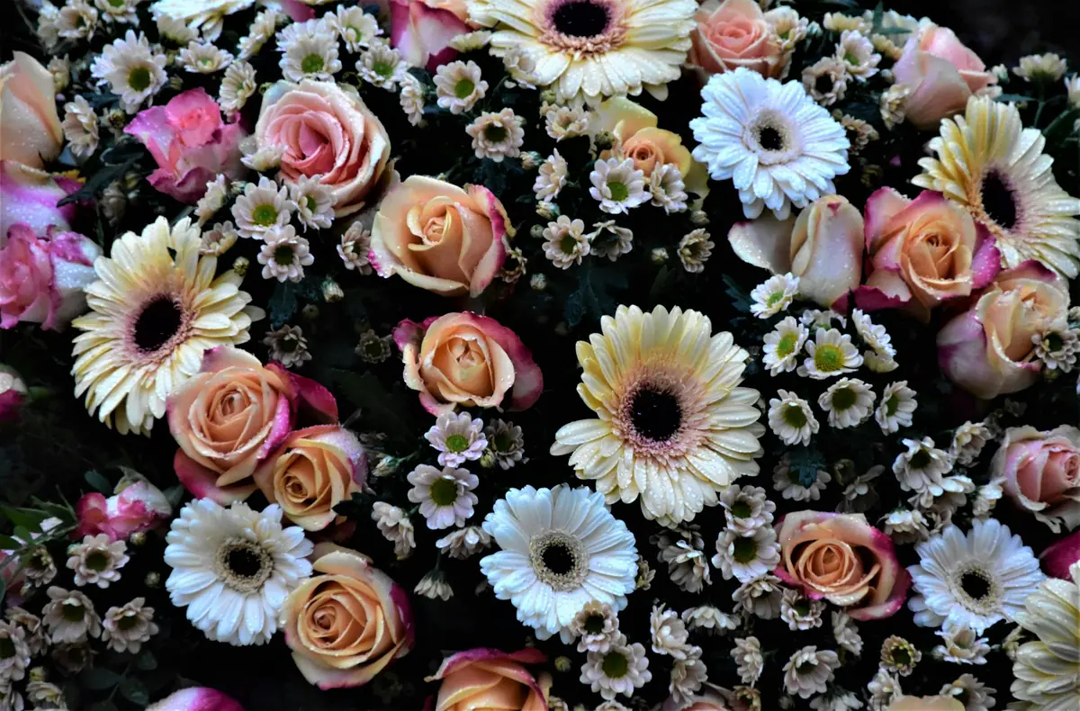 Flores de despedida sobre fondo oscuro