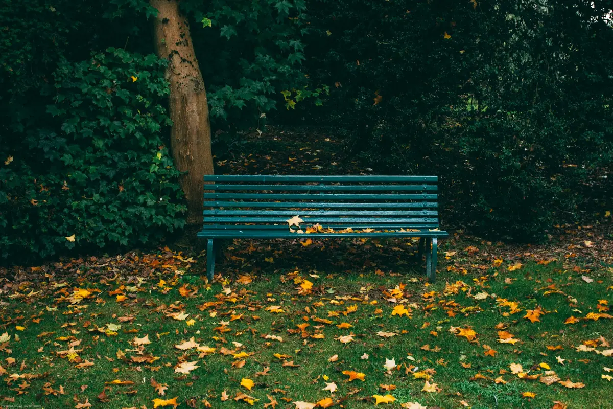 Banco vacío en un parque en otoño
