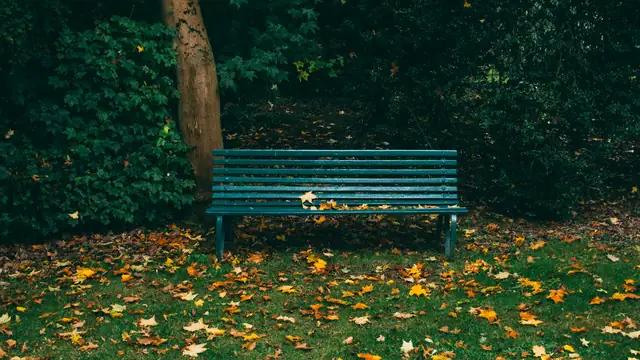 Banco vacío en un parque en otoño